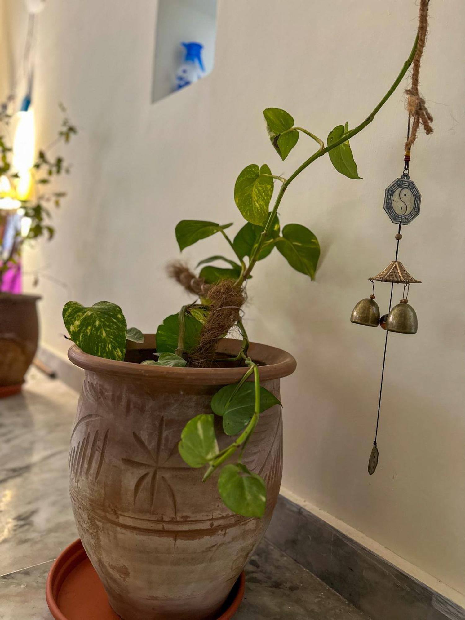 Leela Hatha Rishīkesh Esterno foto
